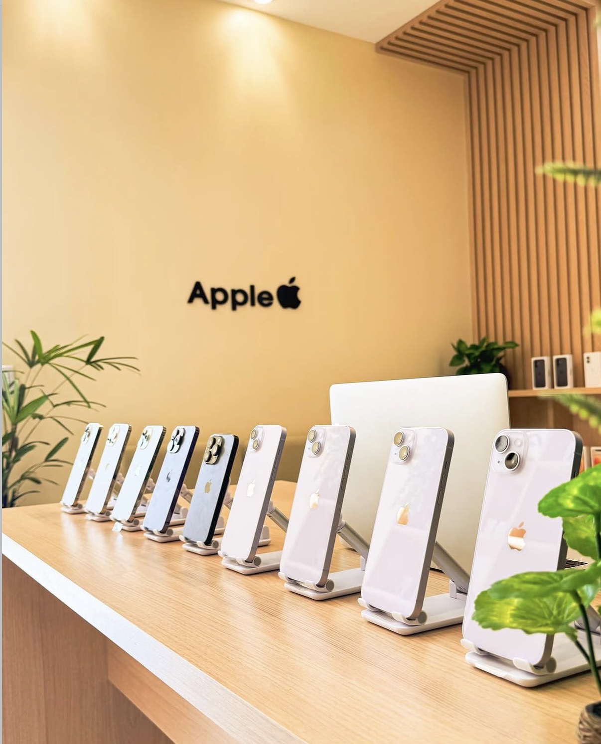 iPhones em exposição